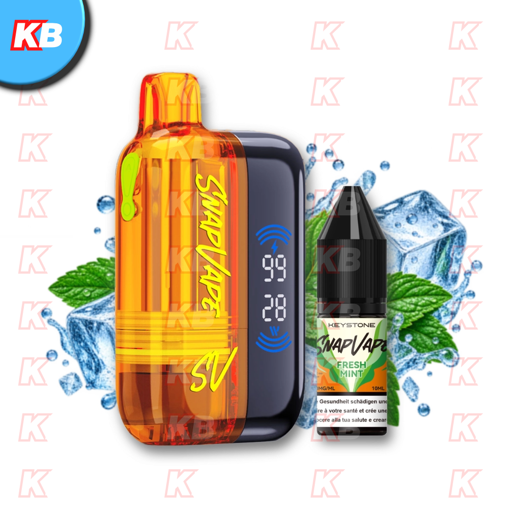 SnapVape Starter Kit | Akkuträger + Leerpod + 1x E-Liquid Fresh Mint (20mg/ml)