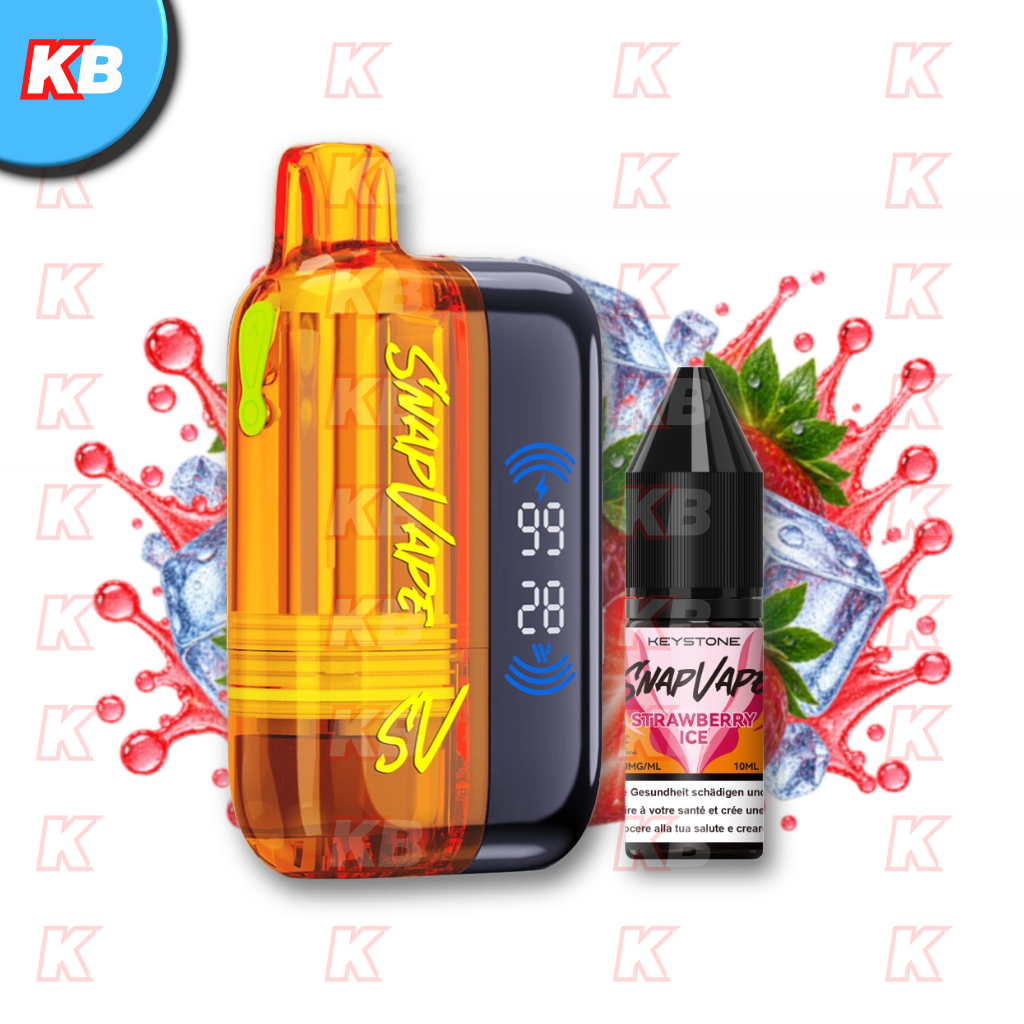 SnapVape Starter Kit | Akkuträger + Leerpod + 1x E-Liquid Strawberry Ice (20mg/ml)