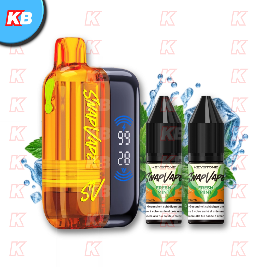 SnapVape Starter Kit | Akkuträger + Leerpod + 2x E-Liquid Fresh Mint (20mg/ml)
