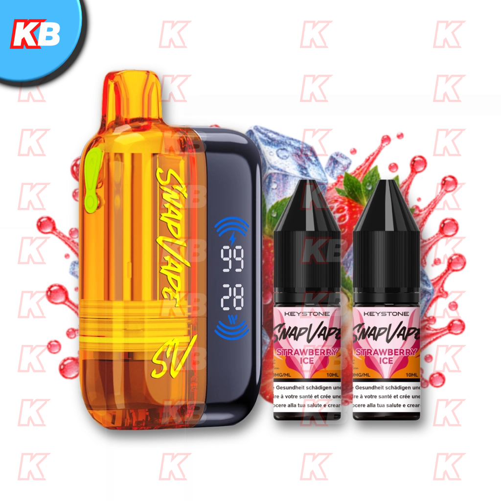 SnapVape Starter Kit | Akkuträger + Leerpod + 2x E-Liquid Strawberry Ice (20mg/ml)