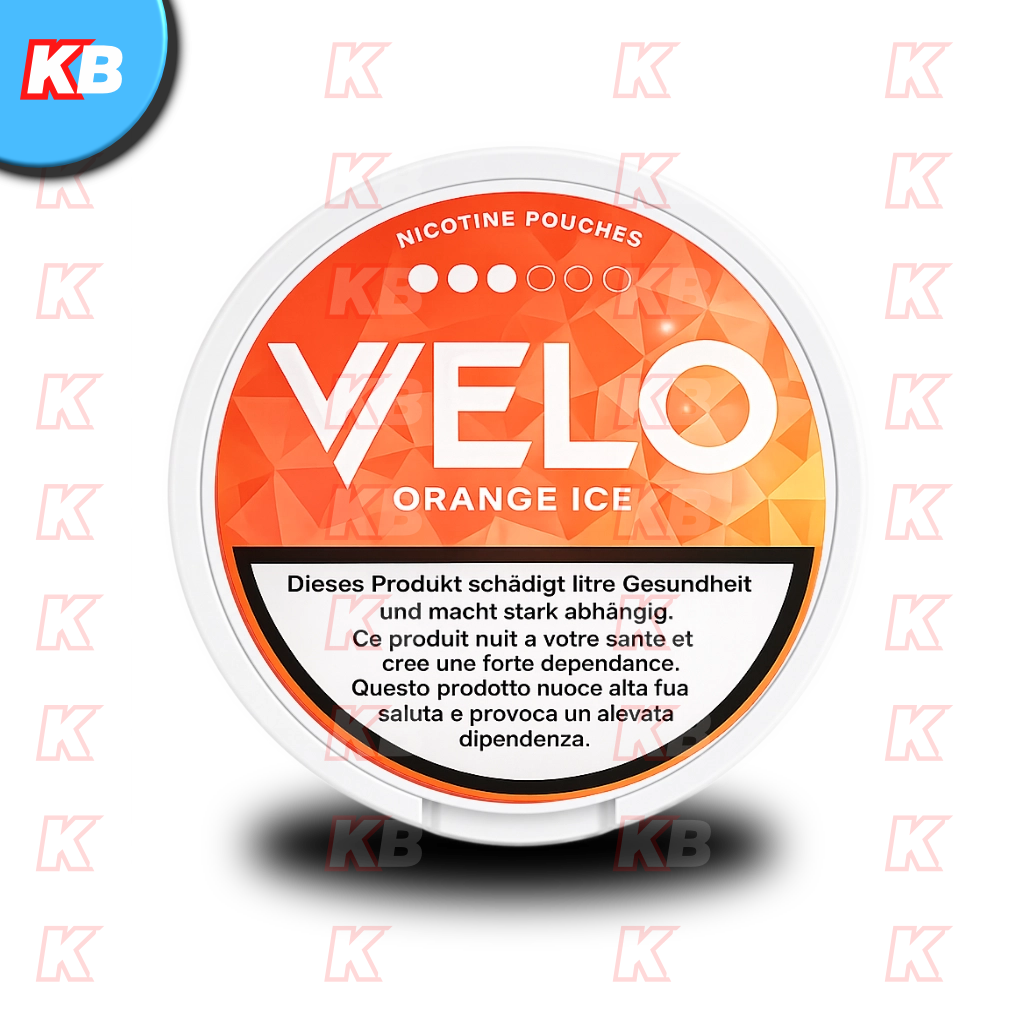 Velo Orange Ice