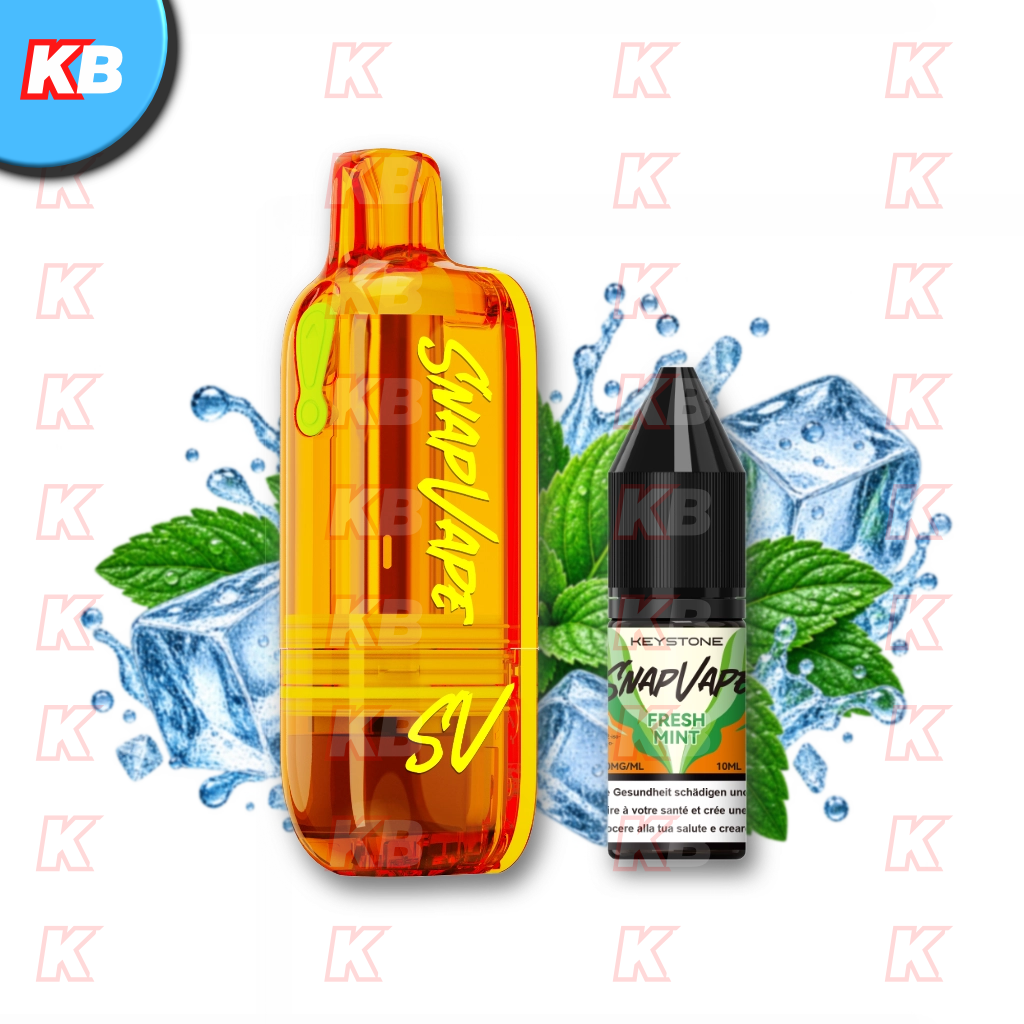 SnapVape | Leerpod + Fresh Mint (20mg/ml)