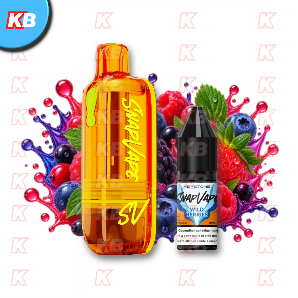 SnapVape | Leerpod + Wild Berries (20mg/ml)