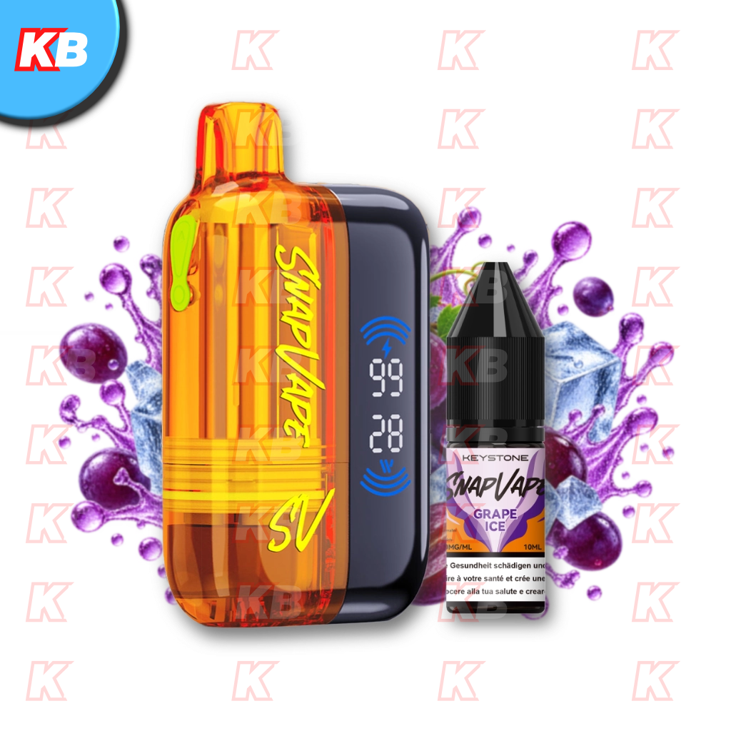 SnapVape Starter Kit | Akkuträger + Leerpod + 1x E-Liquid Grape Ice (20mg/ml)