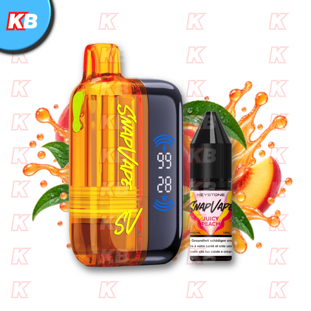 SnapVape Starter Kit | Akkuträger + Leerpod + 1x E-Liquid Juicy Peach (20mg/ml)