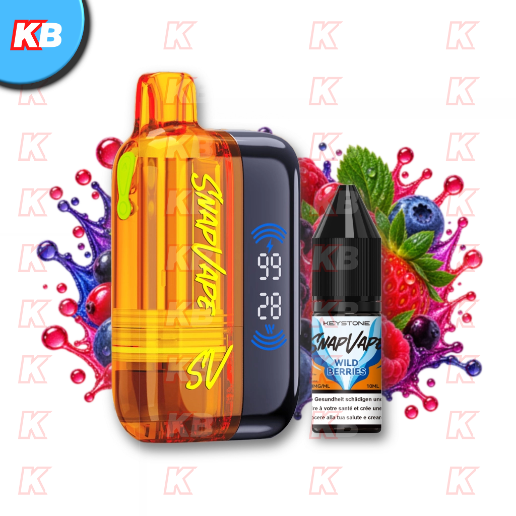 SnapVape Starter Kit | Akkuträger + Leerpod + 1x E-Liquid Wild Berries (20mg/ml)