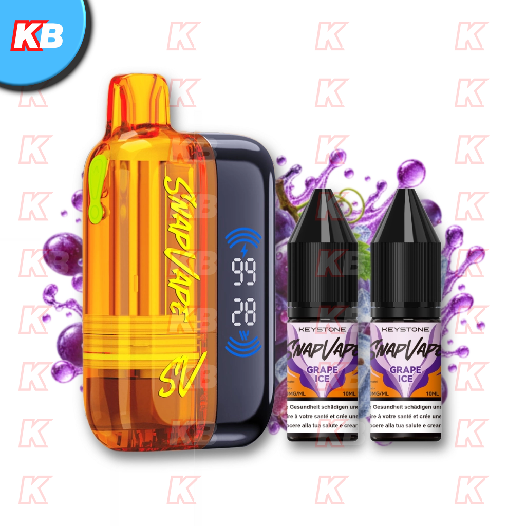 SnapVape Starter Kit | Akkuträger + Leerpod + 2x E-Liquid Grape Ice (20mg/ml)