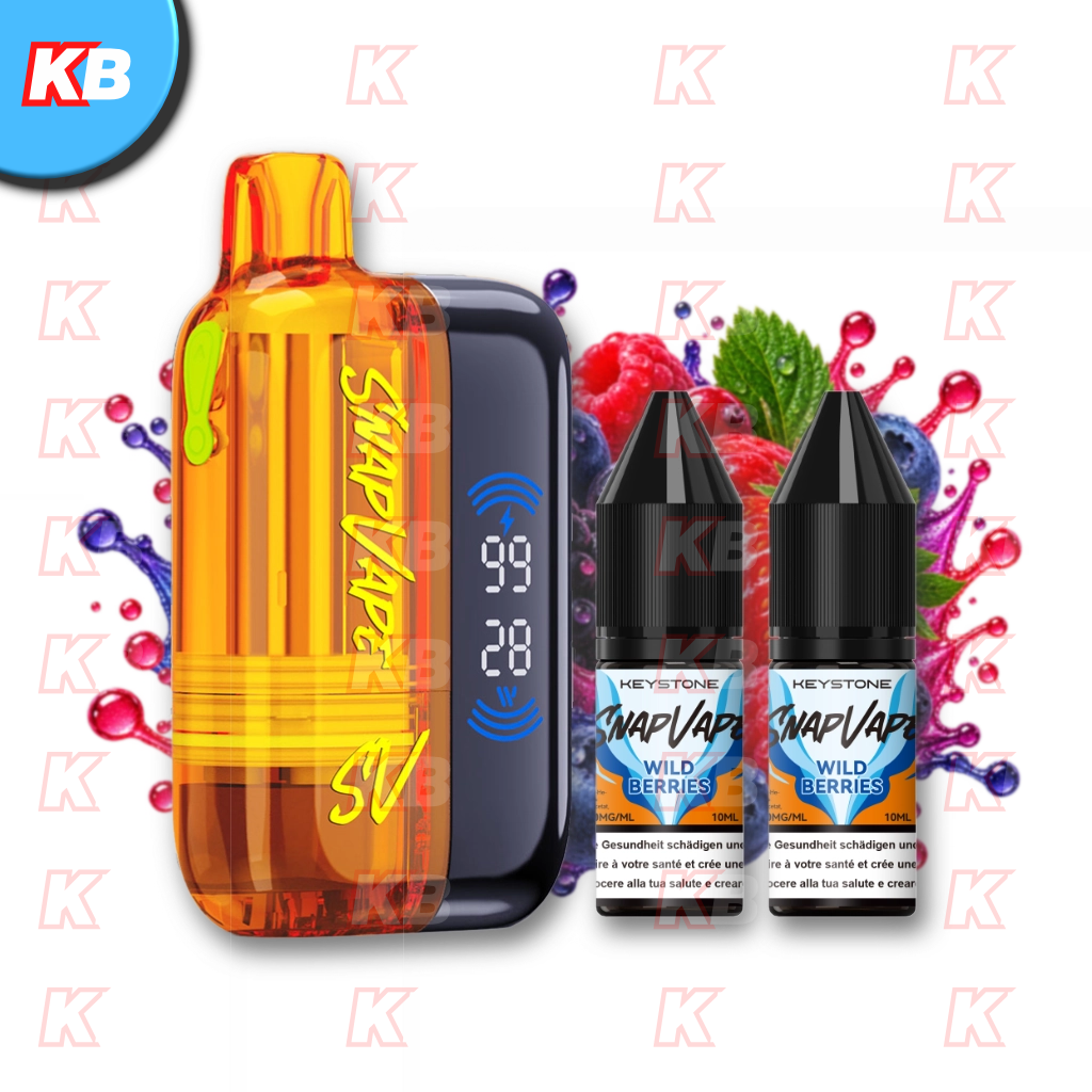 SnapVape Starter Kit | Akkuträger + Leerpod + 2x E-Liquid Wild Berries (20mg/ml)